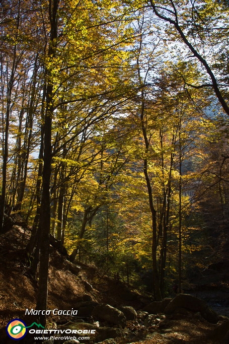 40_Autunno in val d'inferno.JPG